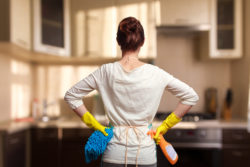 Cleaning your Cleaning Supplies - Mulberry Maids Blog 