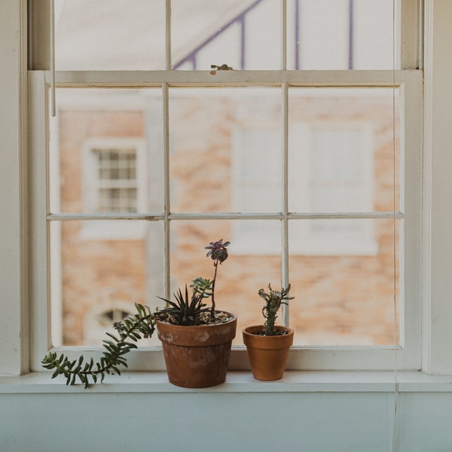 a window with potted plants