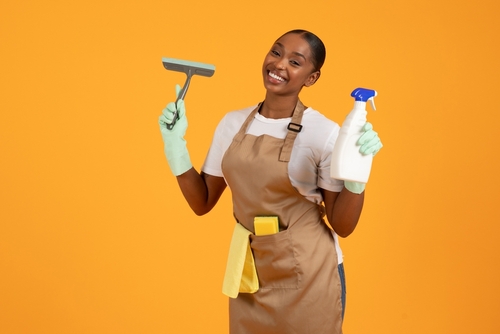 cleaning services in timnath co
